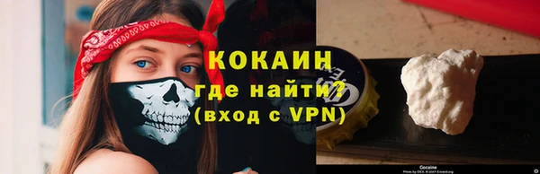 индика Володарск