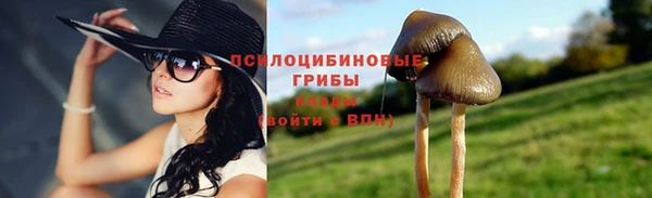 тгк Бердск