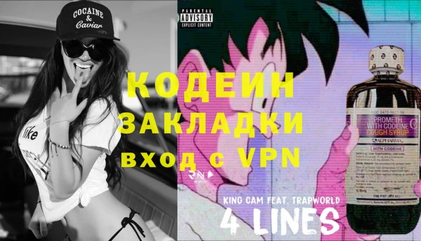индика Володарск