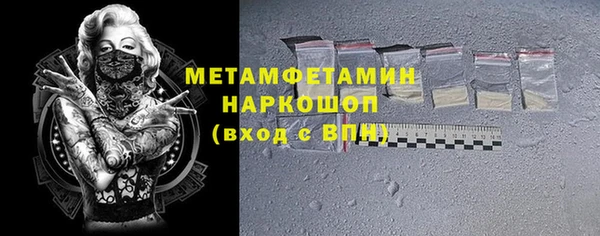 индика Володарск