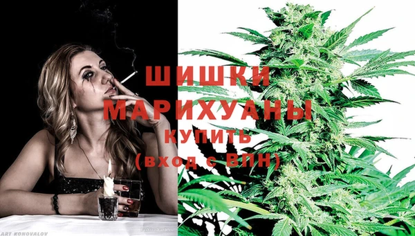 индика Володарск